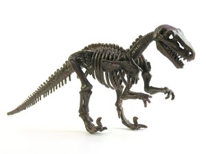 品牌策略使用技巧利用用户反馈优化品牌策略